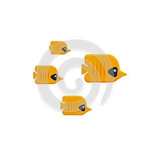 The flock of tropical butterfly fish isolated on white background