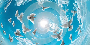 Flock of white doves flying towards the sun on a clear blue sky. freedom and peace concept image. suitable for