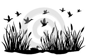 A flock of wild ducks flying over a pond with reeds. Black and white illustration of ducks flying over the river. Vector