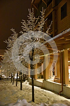 Flocked Trees and Warmly Lit Storefronts at Whitefish Mountain Resort