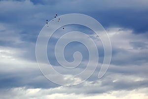 Flocks of birds flew back and forth in the cloudy sky. photo