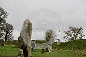 Flocks of bired over standing stones