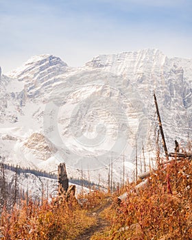 The Floe Lake Trail in Fall