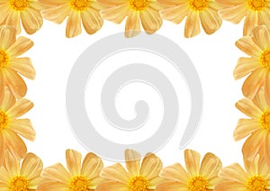 Flofal composition of dahlias.