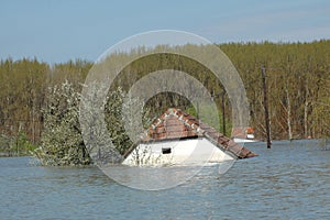 Flood photo