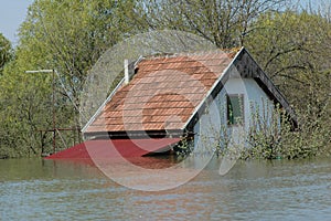 Flood photo