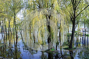 Flood on bank river in spring time. Water filled play and sport grounds in city.