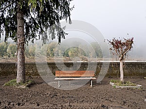 After the flood - bench, trees and mud