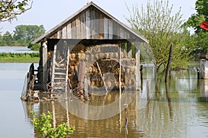 Flood, big natural disaster