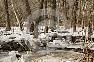 Flood Damage from an Ice Jam