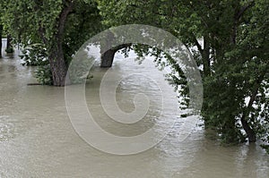 Flood on Danube