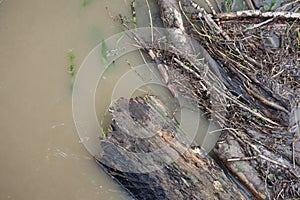 Flood debris