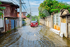 Flood, Lake, Rain, Torrential Rain, Water