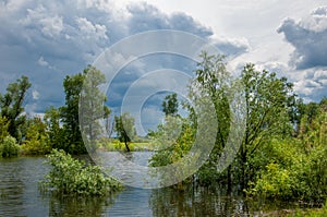 Flood. Natural disaster - the flooding of the land with water, w