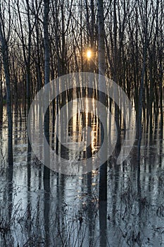 Flood overflowing rivers hydrological failure modena italy