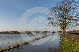 IJssel Flood Plains at Dieren photo