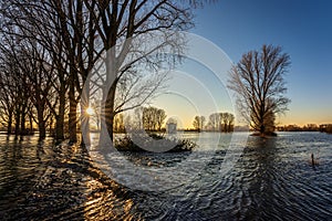 Flood on the Rhine near Leverkusen