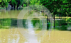 Flood on the river Danube