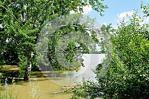 Flood at the river Danube