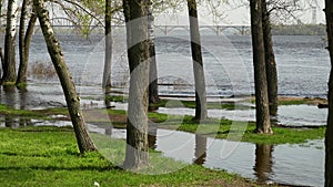 Flood river in spring time. Overflowed river bank in city.