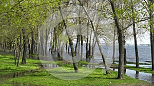 Flood river in spring time. Overflowed river bank in city.