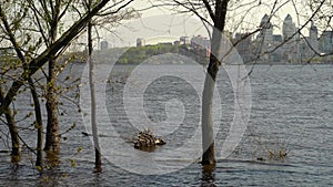 Flood river in spring time. Overflowed river bank in city.