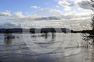 Flood from the river Weser in Minden, NRW, Germany photo