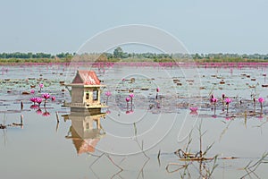 Flood Thailand 2011