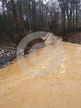 Flood warning Tuscaloosa photo
