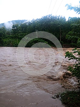 The flood was very swift and the color of the water was yellow