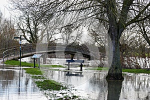 Flood water in a public park after the river banks burst from heavy rain