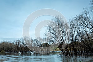 Flood waters engulf large areas included  this road