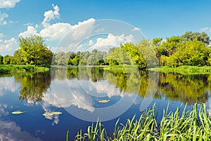 Narew river water Poland clouds blue sky pond lake trees