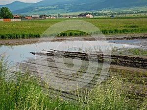 Flooded agricultural fields in Transylvania, Romania
