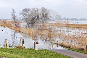 Flooded area of IJssel valley The Netherlands