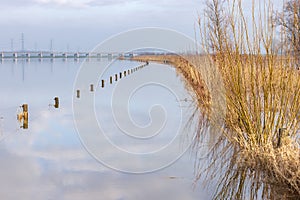 Flooded area of IJssel valley The Netherlands