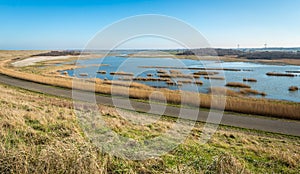 Flooded area with some clumps of yellowed grass