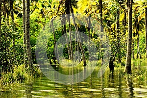 FLOODED BACKWATERS