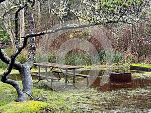 Flooded Campground in Oregon Along the Coast