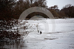 flooded countryside in the north west of germany