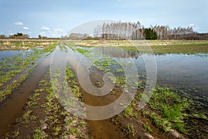 Flooded dirt road and fields, April day