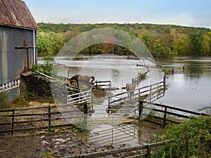 Inundado tierra agricola 