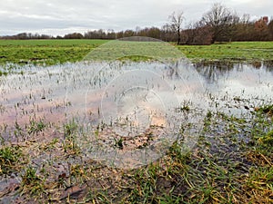flooded field after heavy rain
