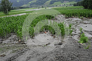 A flooded field, water damage in agriculture