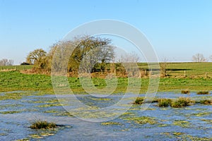 Flooded field on a winter morning