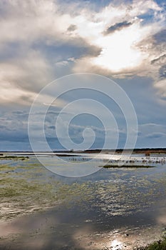 Flooded fields