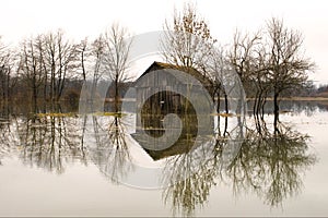 Flooded fields