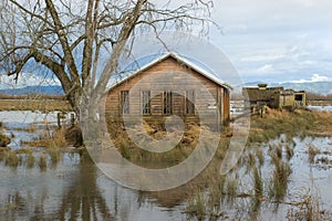 Flooded fields in countryside