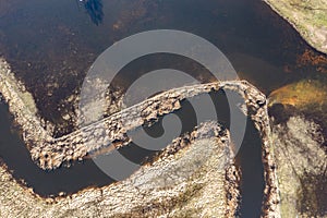 Flooded fields, meadows and forests during excessive rainfall. A river flooding fields and forests, view from a drone