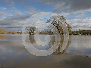 Flooded fields with reflexions near Tewkesbury